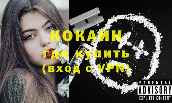 apvp Арсеньев